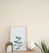 Cotton White -
