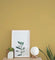 Mustard -