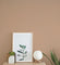 Nutmeg -