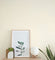 Paper -