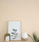 Plaster -