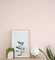 Rose White -