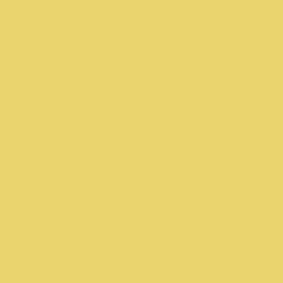 Buttercup - Möbelfarbe