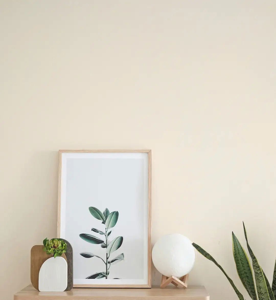 Cotton White - Painting the Past