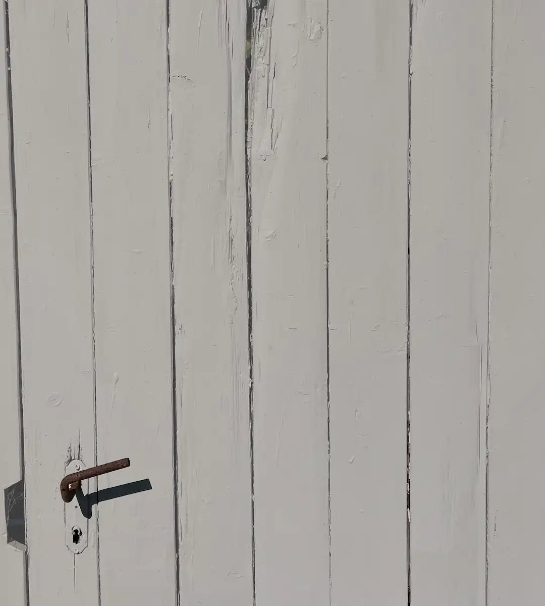 Driftwood - Outdoor - Painting the Past