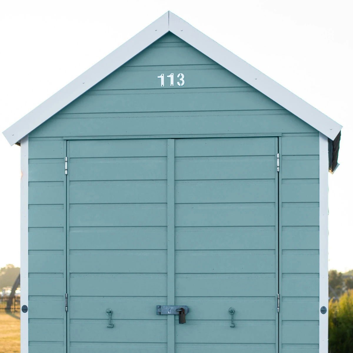 Eucalyptus - Outdoor - Painting the Past