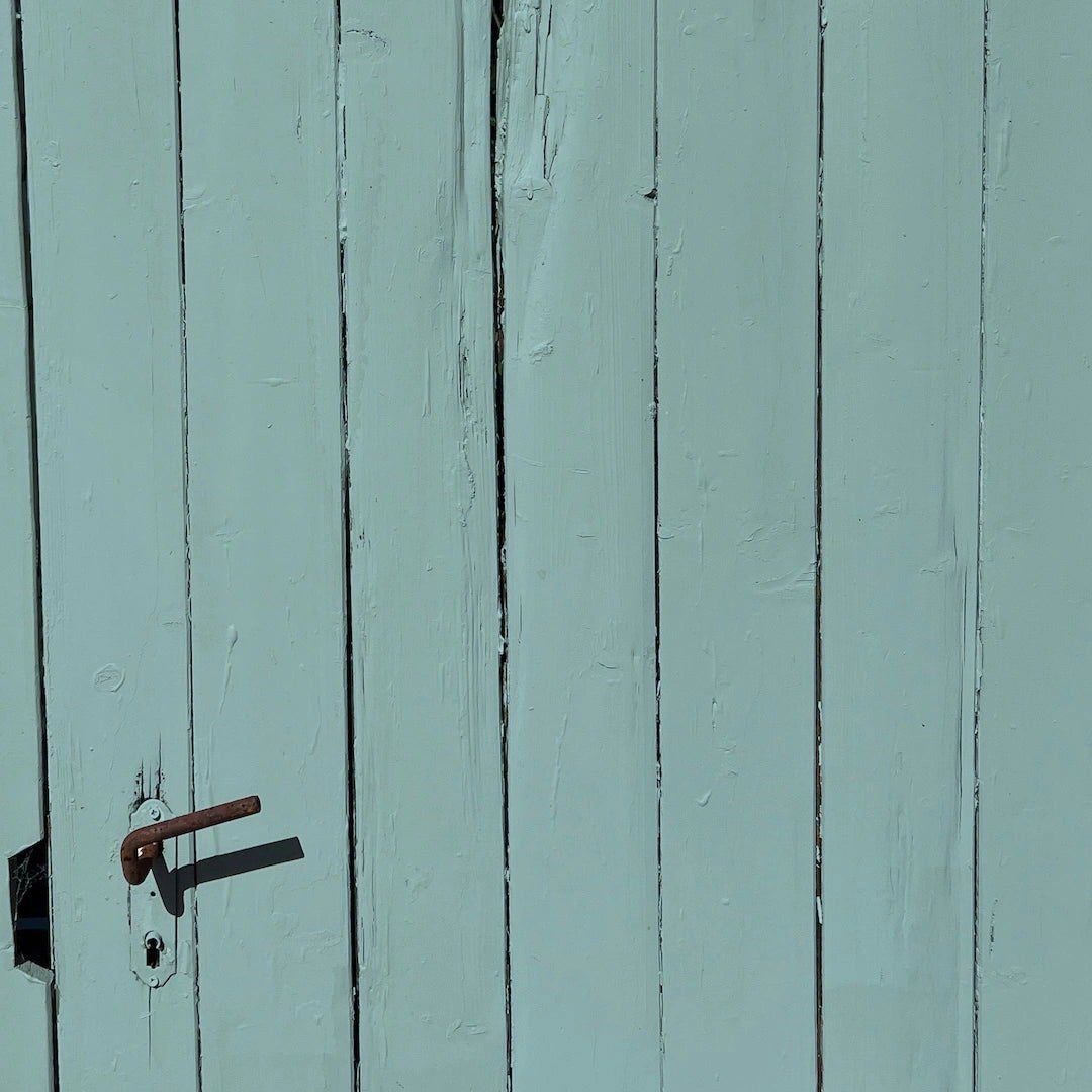 Eucalyptus - Outdoor - Painting the Past