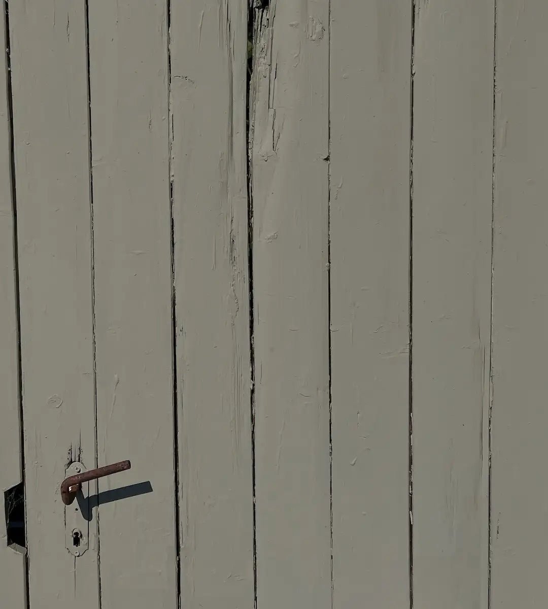 Moss - Outdoor - Painting the Past