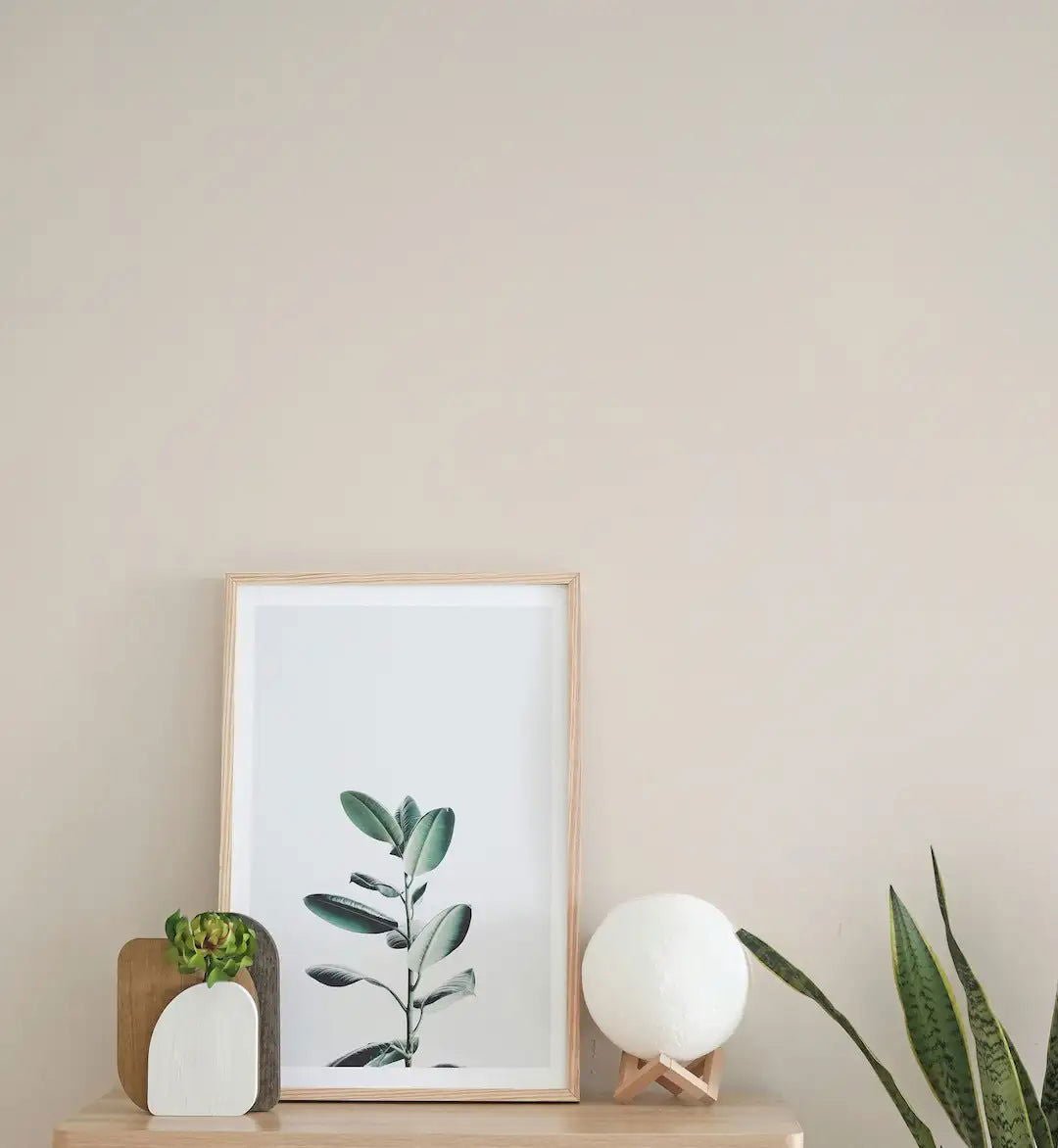 Muslin - Painting the Past