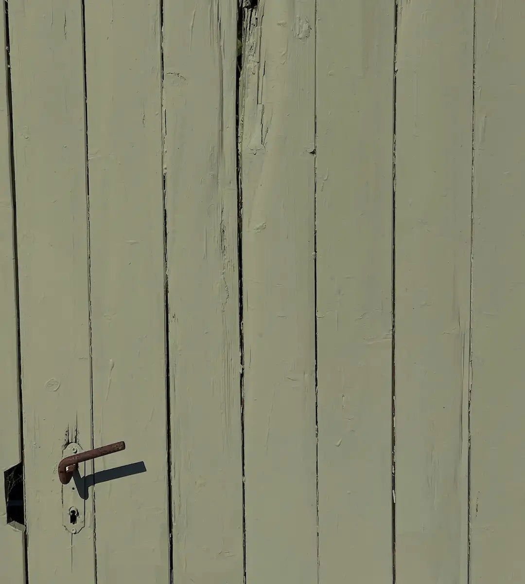 Olive - Outdoor - Painting the Past