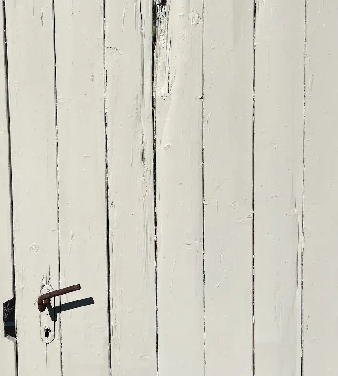 Salt - Outdoor - Painting the Past