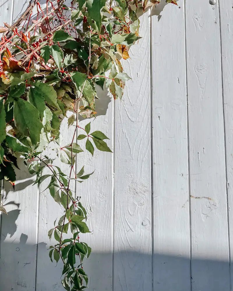 Pure White Outdoor - Lieblingshaus