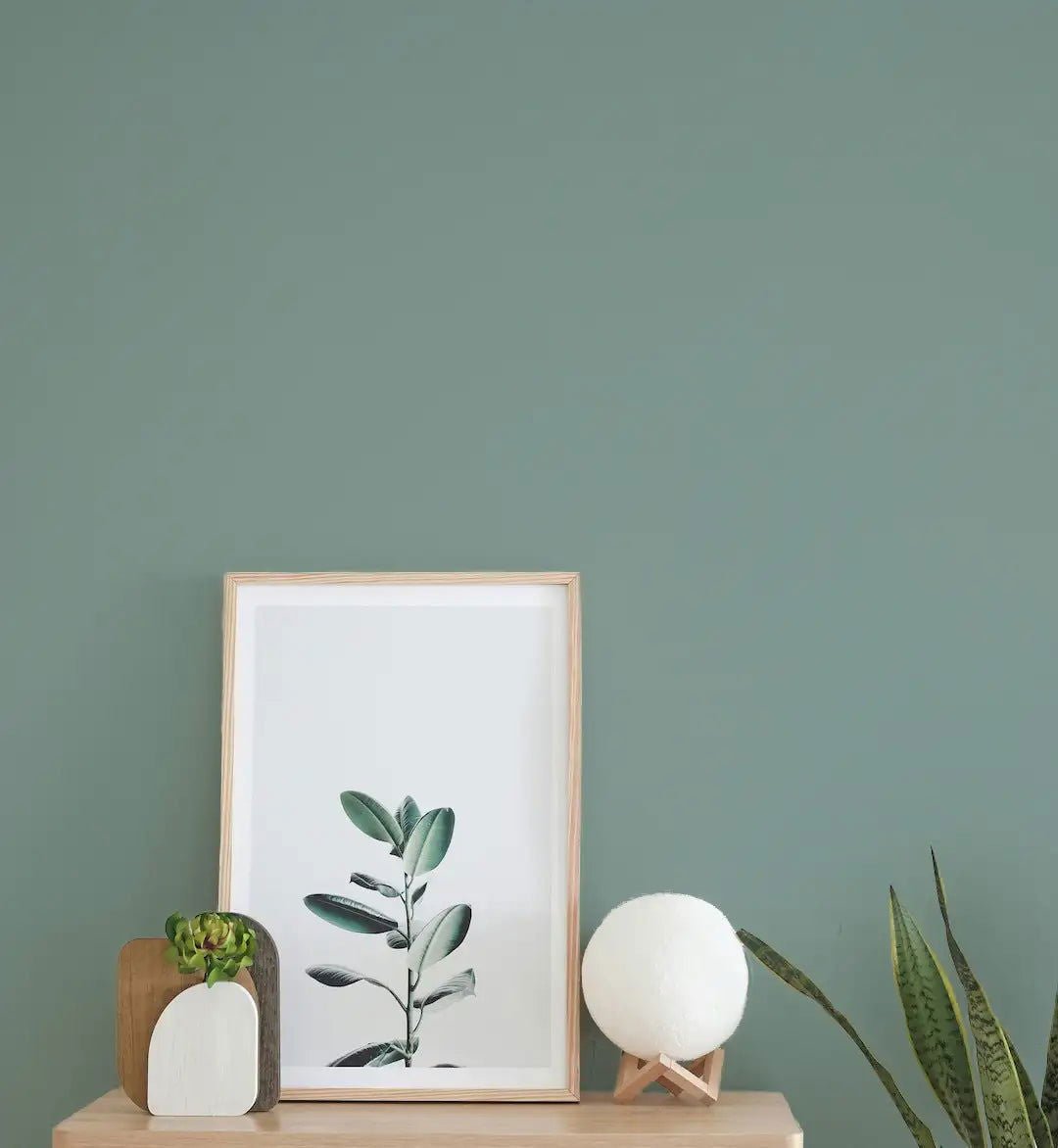 Aloe Vera - Painting the Past