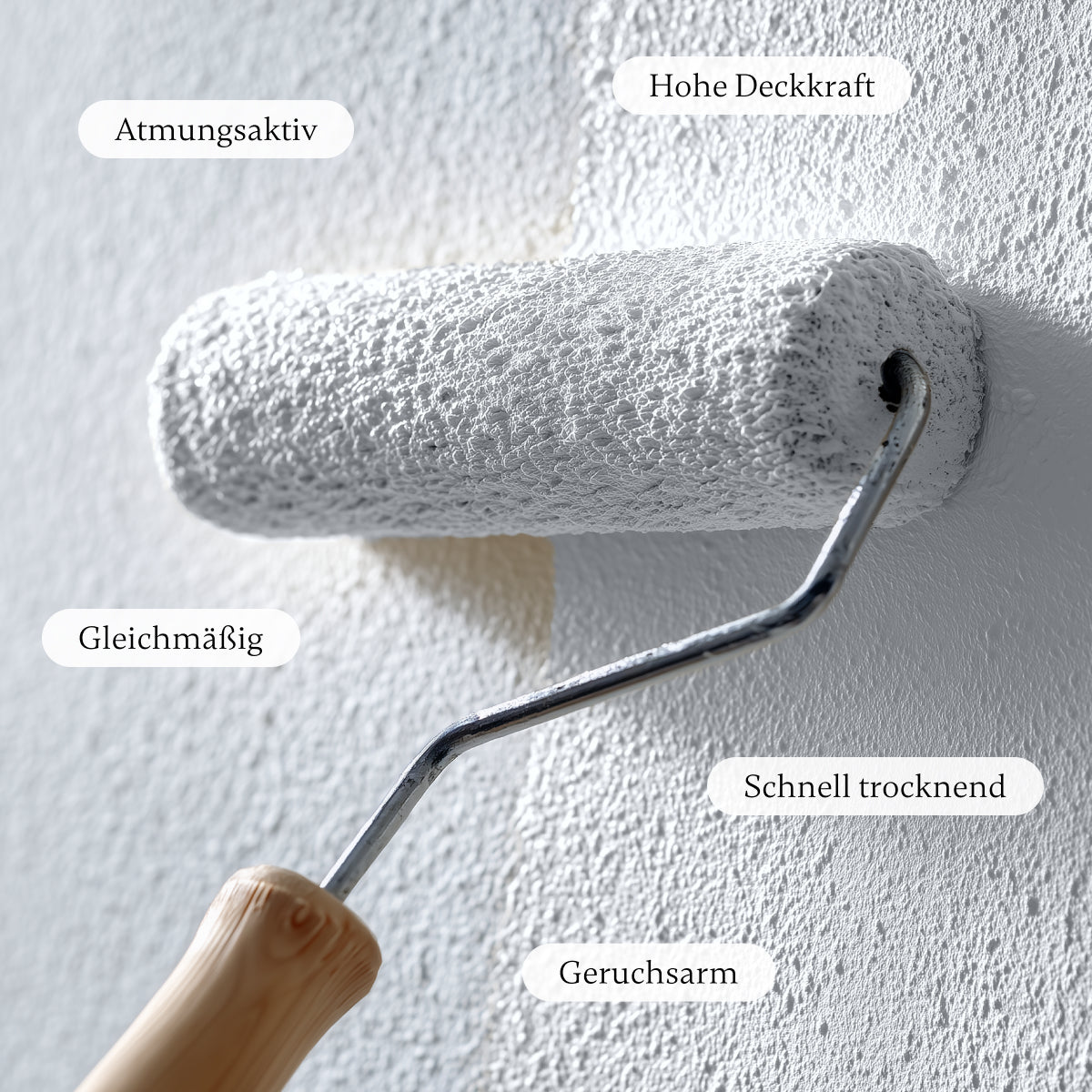 Arctic - Wandfarbe - Paint of Walinoon