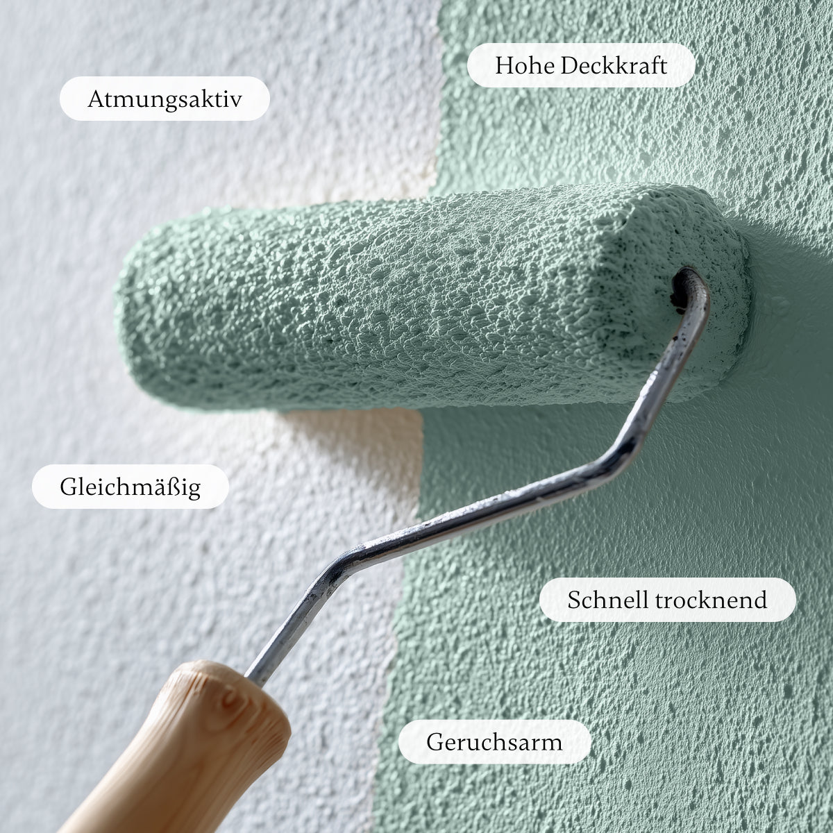 Bayside - Wandfarbe - Paint of Walinoon