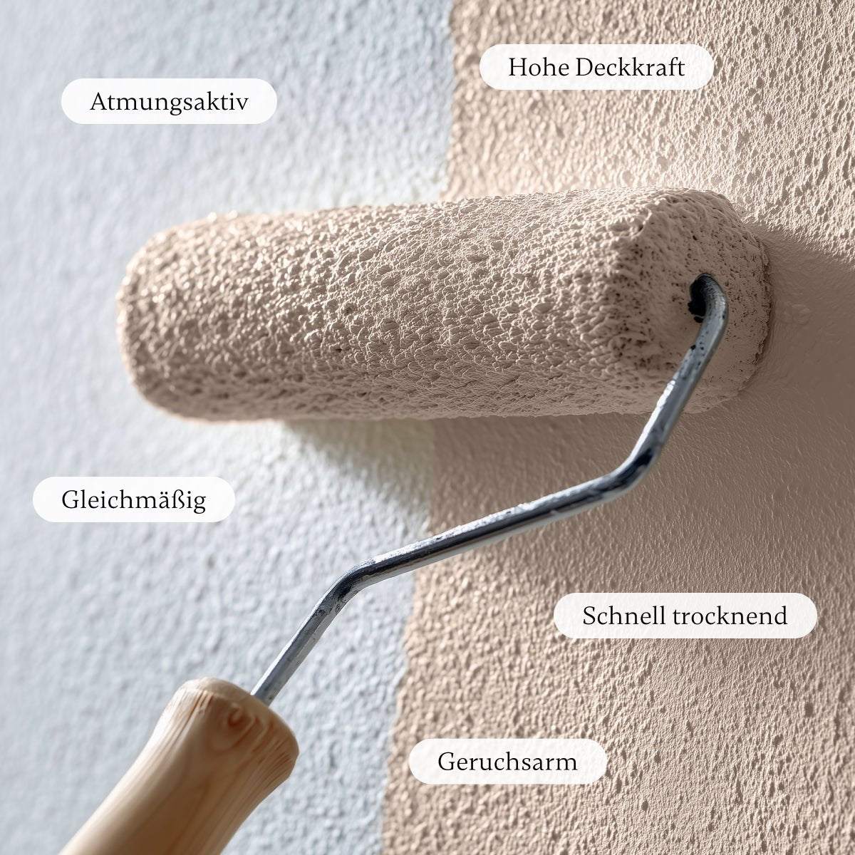 Blush - Wandfarbe - Paint of Walinoon