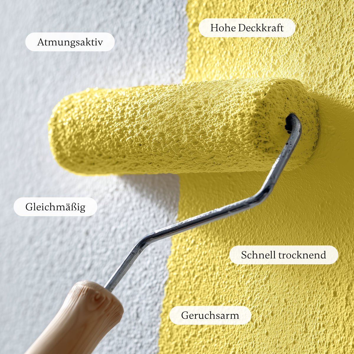 Buttercup - Wandfarbe - Paint of Walinoon