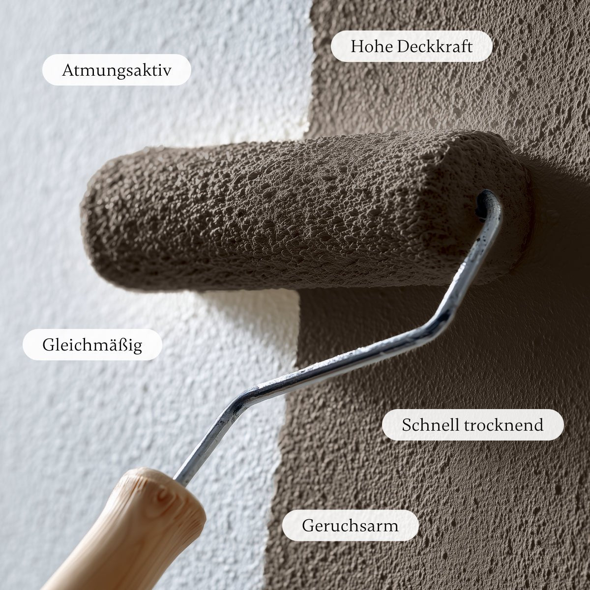 Chestnut - Wandfarbe - Paint of Walinoon