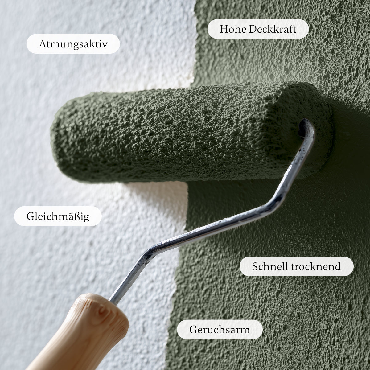 Deep Forest - Wandfarbe - Paint of Walinoon