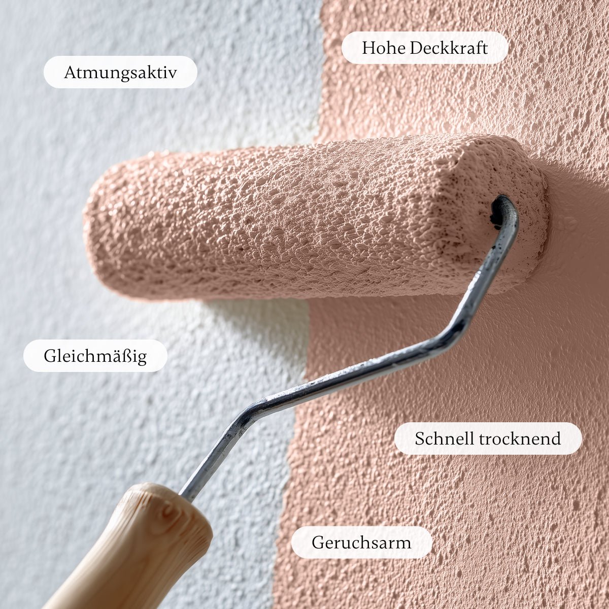 Early Glow - Wandfarbe - Paint of Walinoon