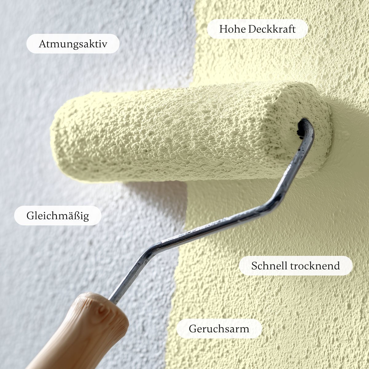 French Vanilla - Wandfarbe - Paint of Walinoon