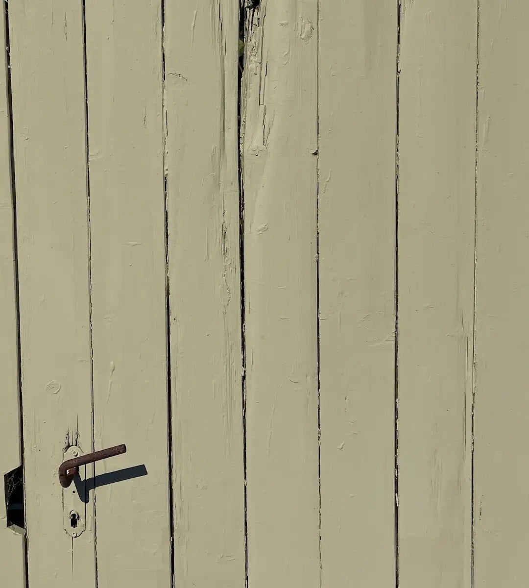 Gooseberry - Outdoor - Painting the Past