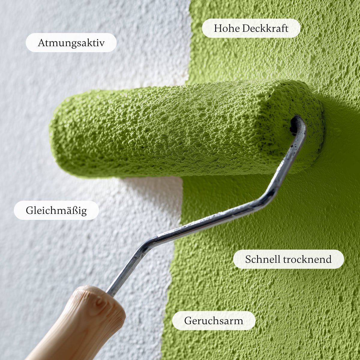 Green Olive - Wandfarbe - Paint of Walinoon