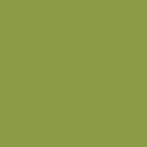 Green Olive - Wandfarbe