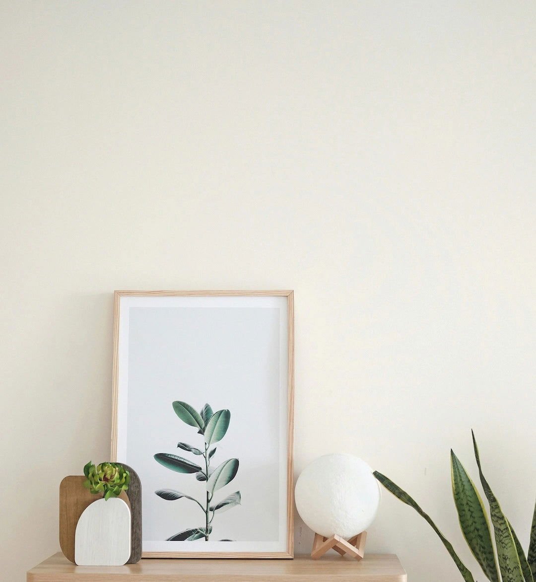 Historical White - Painting the Past