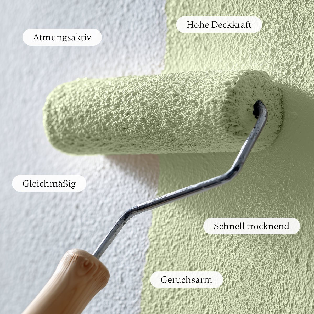 Lime - Wandfarbe - Paint of Walinoon