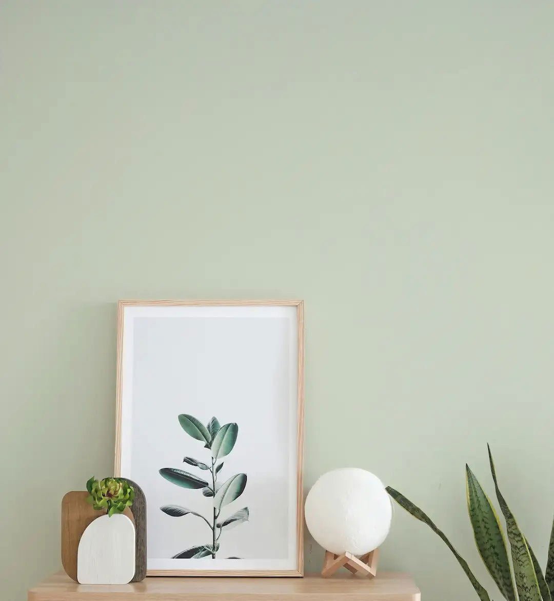 Lime White - Painting the Past