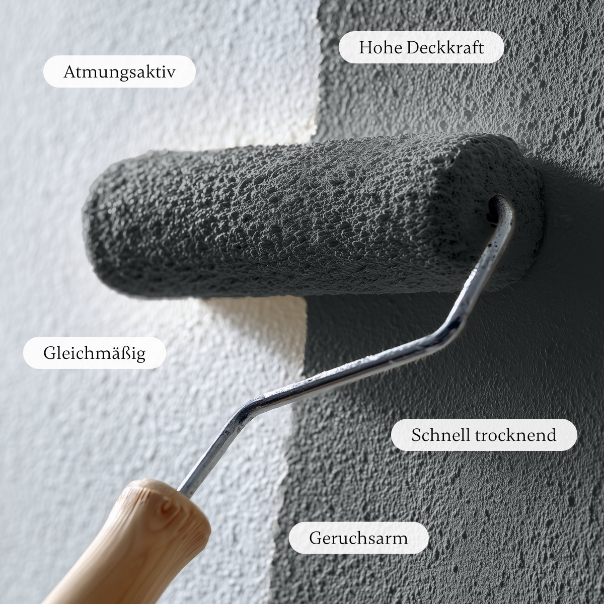 Midnight Black - Wandfarbe - Paint of Walinoon