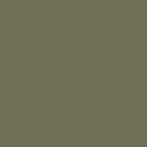 Moss - Wandfarbe