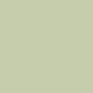 Mystery Green - Wandfarbe
