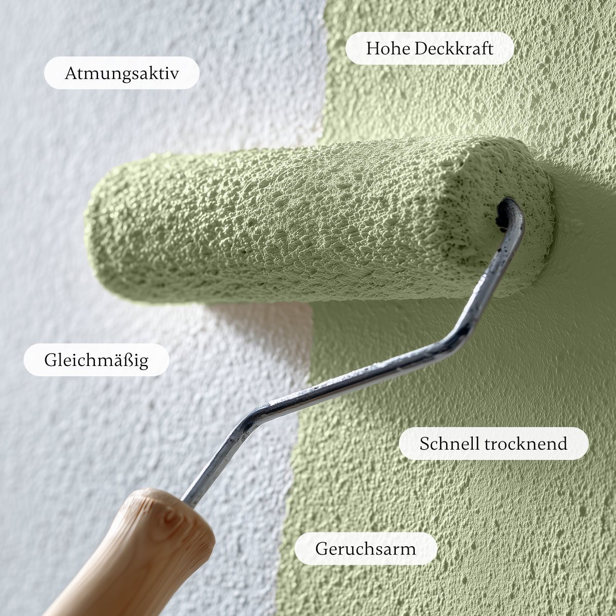 Mystery Green - Wandfarbe - Paint of Walinoon