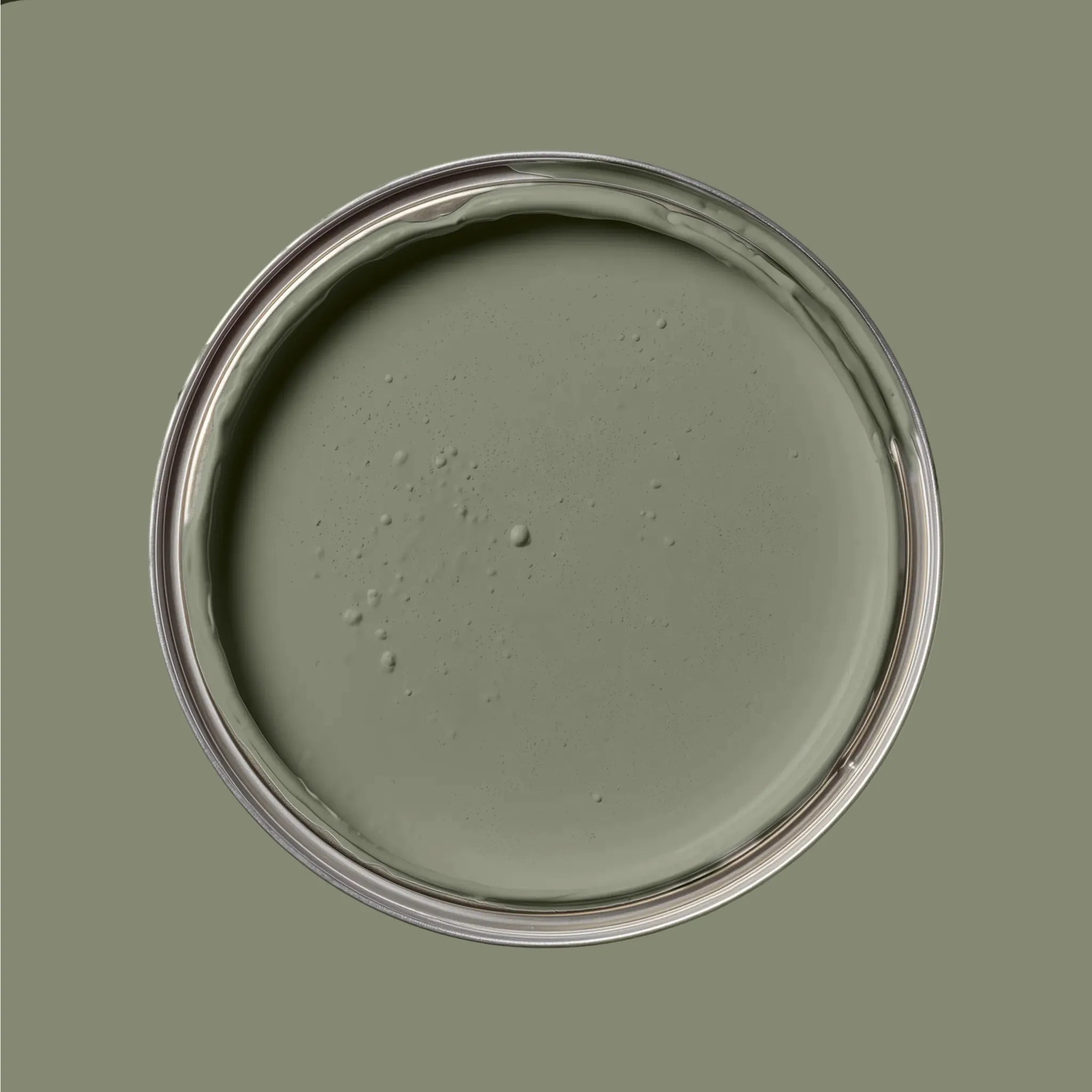 Olive - Outdoor - Painting the Past