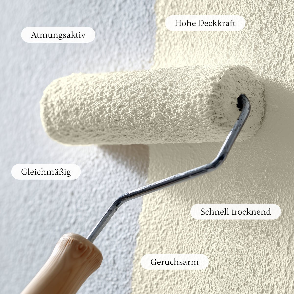 Pale Timber - Wandfarbe - Paint of Walinoon