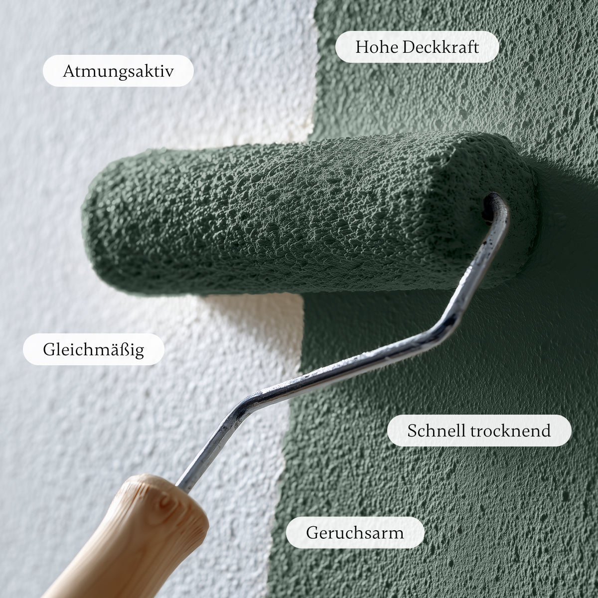 Pine - Wandfarbe - Paint of Walinoon