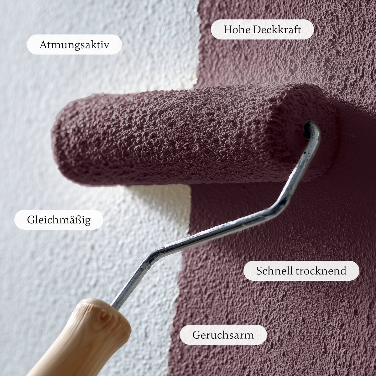 Plum - Wandfarbe - Paint of Walinoon