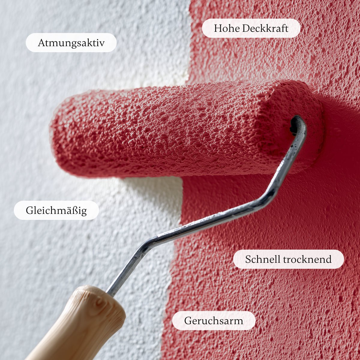 Poppy - Wandfarbe - Paint of Walinoon