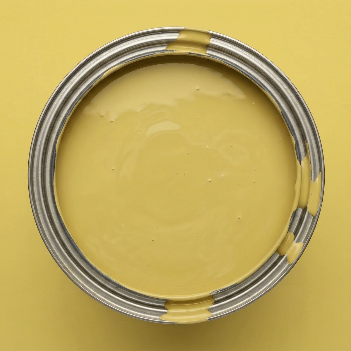 Buttercup – Farbdose Paint of Walinoon