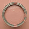 Copper Light – Farbdose Paint of Walinoon