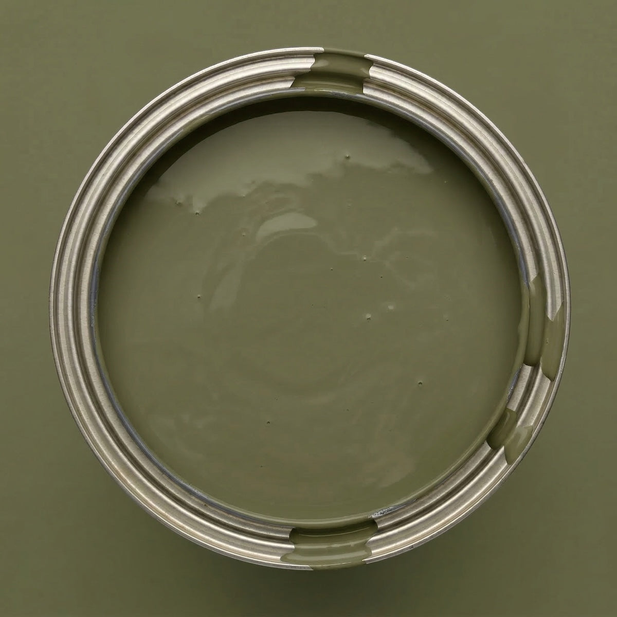 Moss – Farbdose Paint of Walinoon