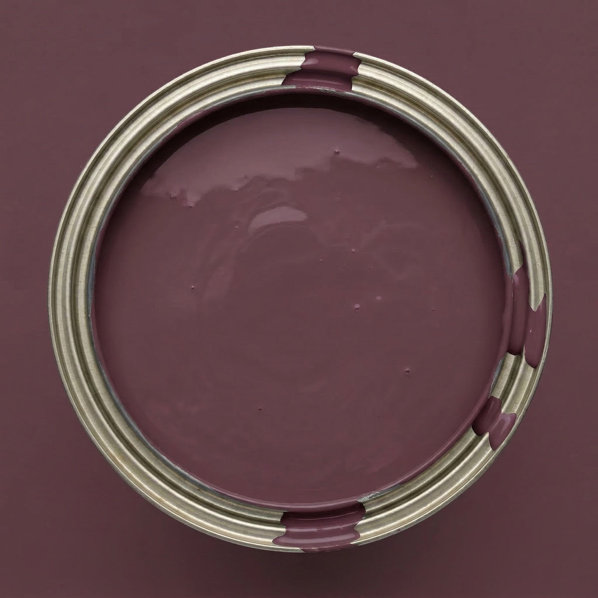 Plum – Farbdose Paint of Walinoon