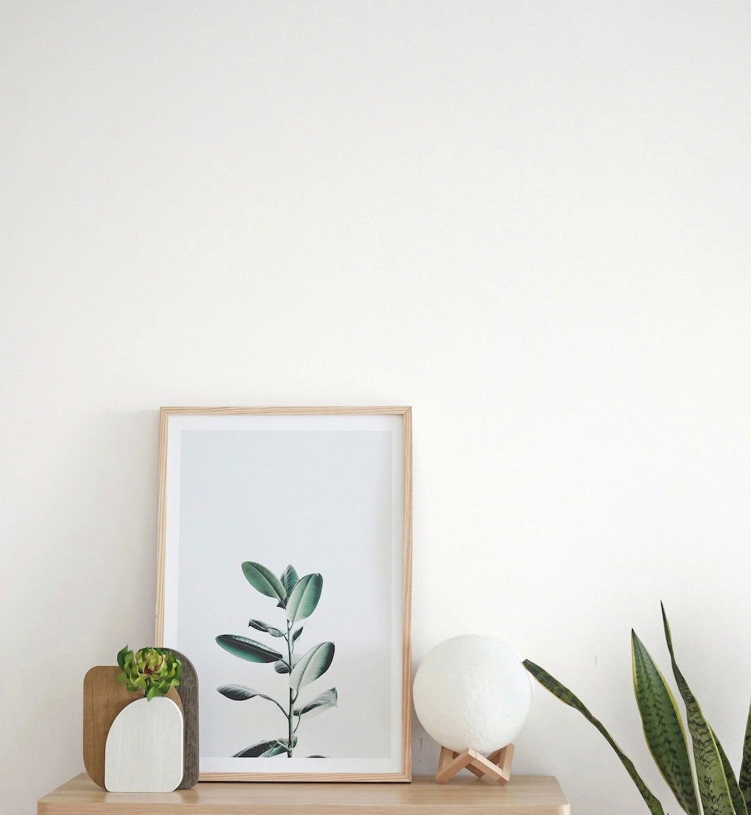 Pure White - Painting the Past