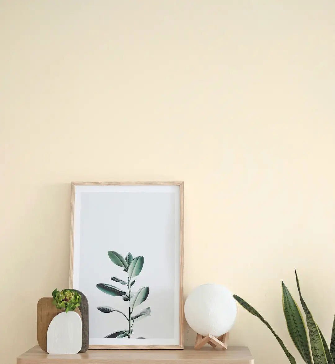 Regency White - Painting the Past