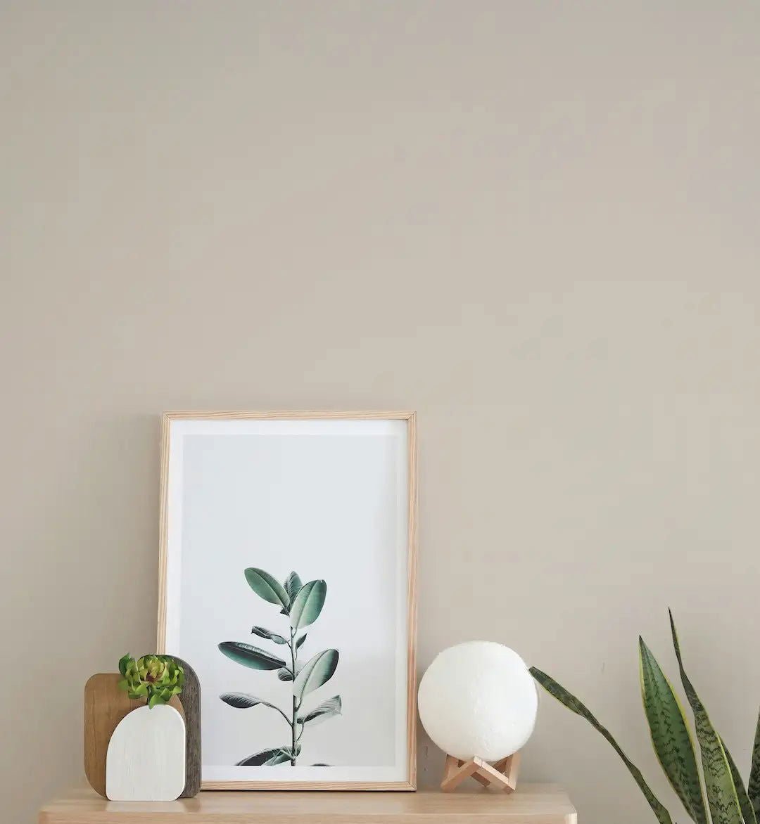 Salt - Painting the Past