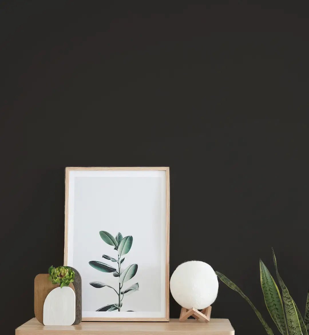 Soft Black - Painting the Past