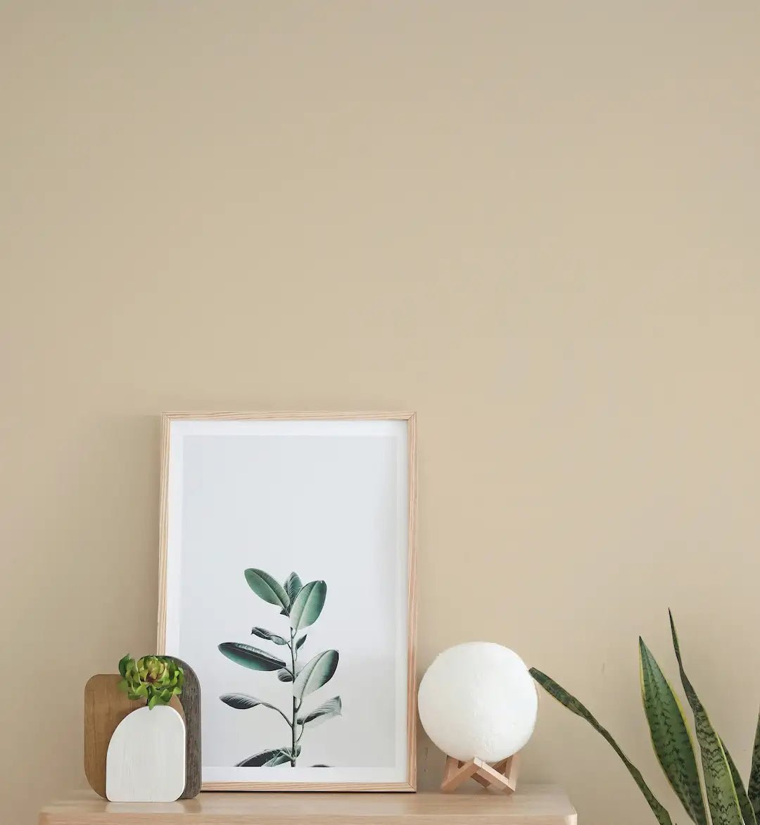 Soft Sand - Painting the Past